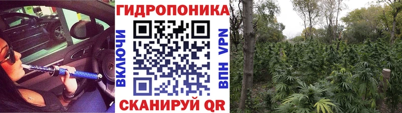 Где купить наркоту Ульяновск А ПВП АМФЕТАМИН Канабис Мефедрон