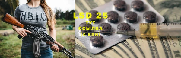 ГАЛЛЮЦИНОГЕННЫЕ ГРИБЫ Балабаново