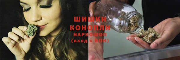 индика Балахна