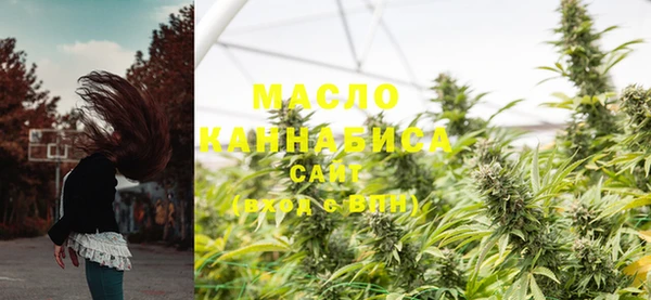 Альфа ПВП Новозыбков