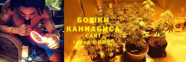 ГАЛЛЮЦИНОГЕННЫЕ ГРИБЫ Балабаново