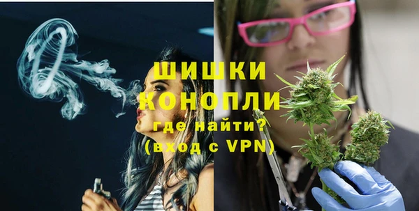 ГАЛЛЮЦИНОГЕННЫЕ ГРИБЫ Балабаново