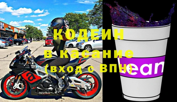 индика Балахна