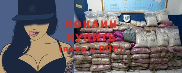 индика Балахна