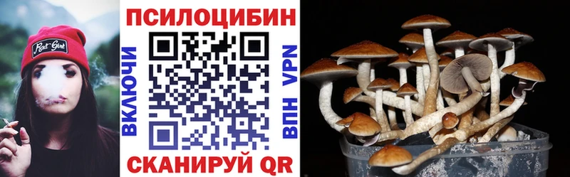 ОМГ ОМГ ссылка  даркнет сайт  Ульяновск  Галлюциногенные грибы GOLDEN TEACHER 